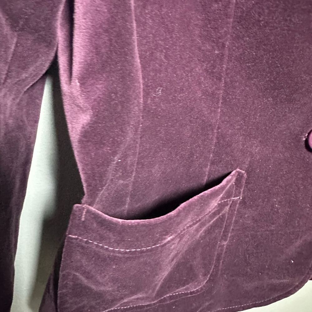 GAP Women's Rich Purple Velvet Velour Buttoned Blazer 8 - Picture 6 of 7